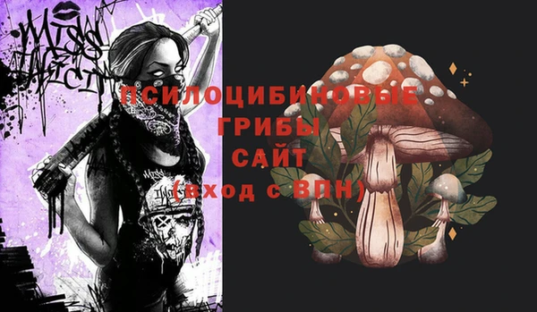 хмурый Покровск