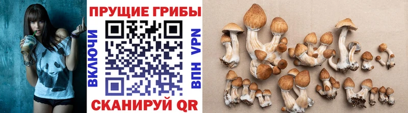 MEGA ссылки  Кашин  Галлюциногенные грибы мухоморы 